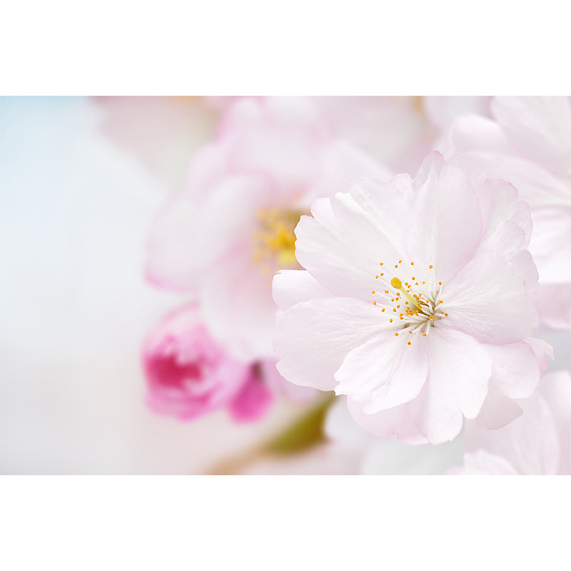 Waterproof Buds Wall Mural Modern Non-Woven Wall Covering, Custom Size Available