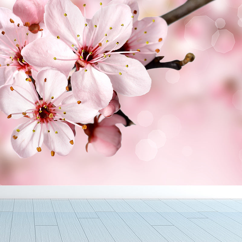 Cherry Blossom Wall Mural Contemporary Washable Living Room Wall Covering, Personalize