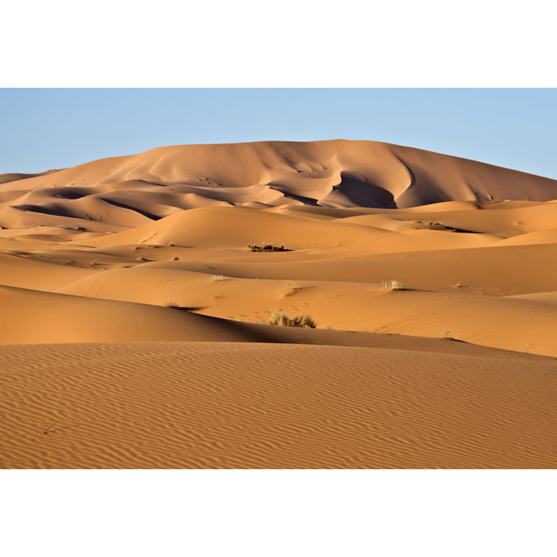 Yellow Natural Landscape Mural Grass and Sand Desert Scenery Modern Water-Proof Wall Covering