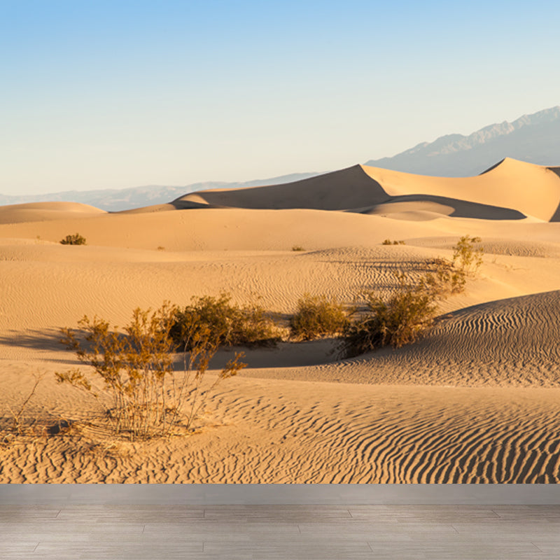 Desert Plants Wall Mural Decal Modern Non-Woven Material Wall Decor in Yellow for Home