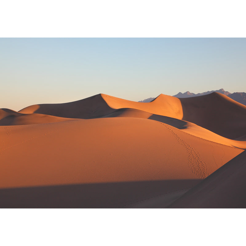 Modern Dune View Wallpaper Mural Yellow Stain Resistant Wall Art for Living Room