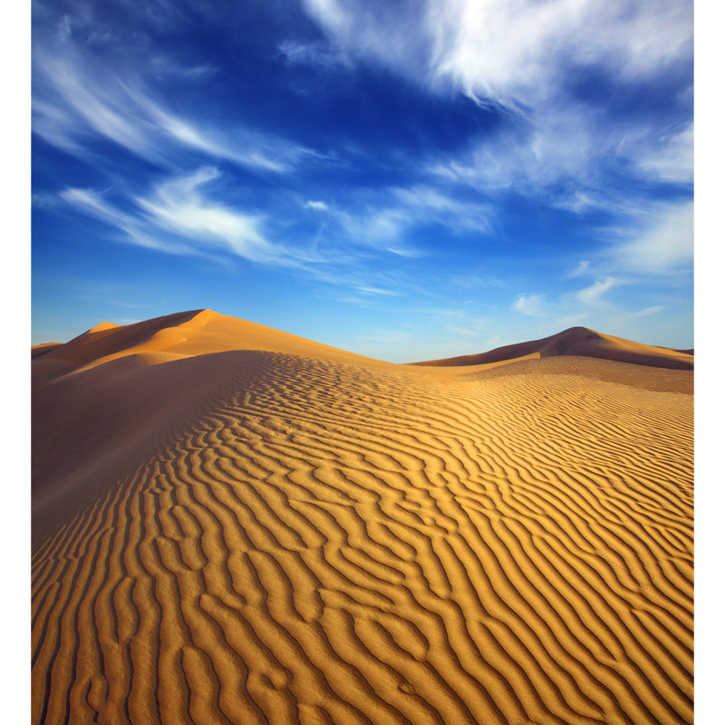 Dune and Sky Scenery Mural Contemporary Moisture Resistant Bedroom Wall Covering, Custom