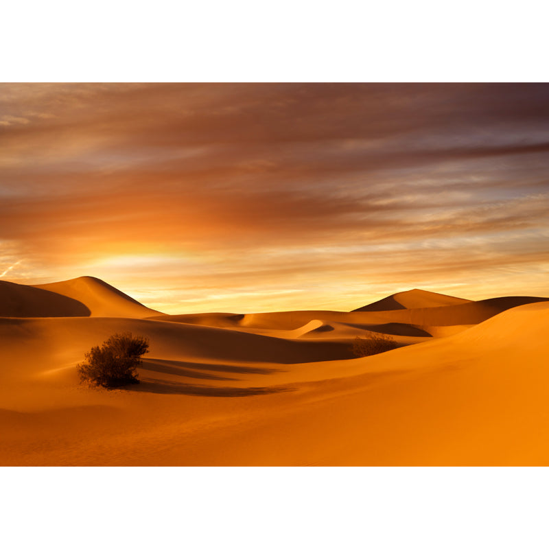 Huge Desert Sunset View Mural Modern Enchanting Dune Landscape Wall Decor in Yellow