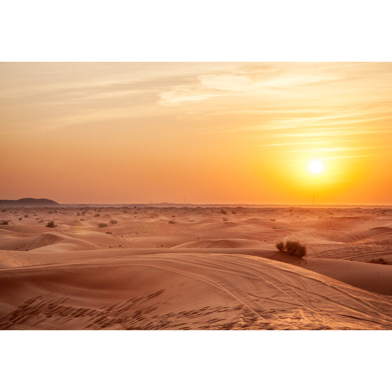 Enormous Sunset Dunes Wall Mural for Living Room, Yellow, Personalized Size Available