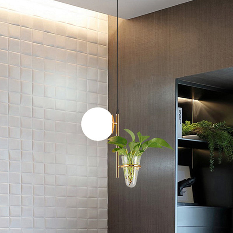 Metal Black/Gold Drop Lamp Orb 1 Head Industrial LED Plant Down Lighting Pendant with Milk White/Smoke Grey Glass Shade