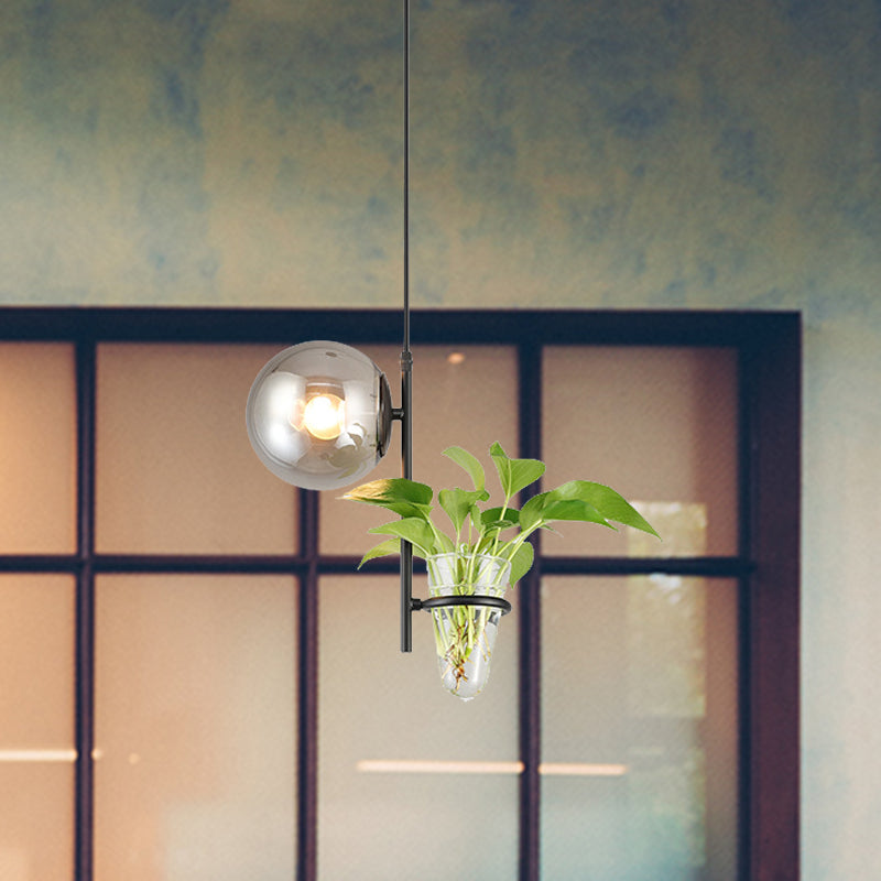 Metal Black/Gold Drop Lamp Orb 1 Head Industrial LED Plant Down Lighting Pendant with Milk White/Smoke Grey Glass Shade