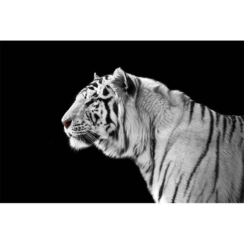 Field America Tiger Mural Wallpaper Contemporary Non-Woven Material Wall Covering