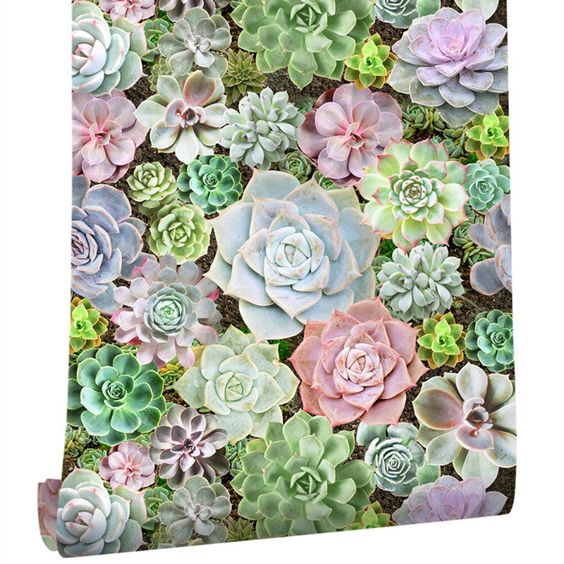 Green Succulents Blossom Wallpaper Bonsai Cottage Adhesive Wall Decor for Balcony