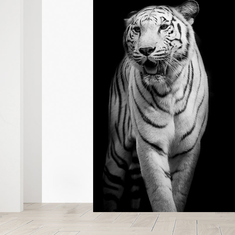 Wild Tiger Mural Wallpaper Contemporary Non-Woven Textured Wall Covering in Black