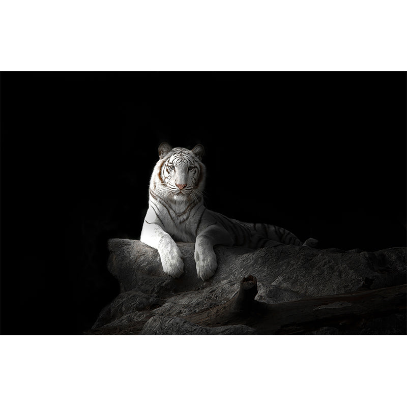 Modern Peaceable Tiger Mural Decal Black Waterproofing Wall Covering for Bathroom