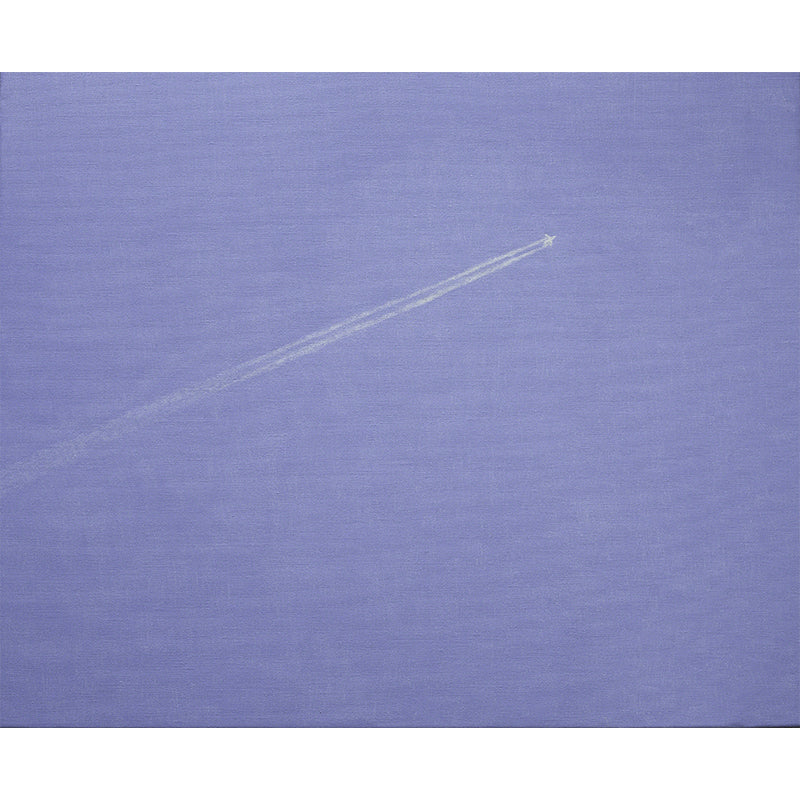 Purple Aeroplane Mural Wallpaper Nature Modern Art Stain-Proof Wall Covering for Kitchen