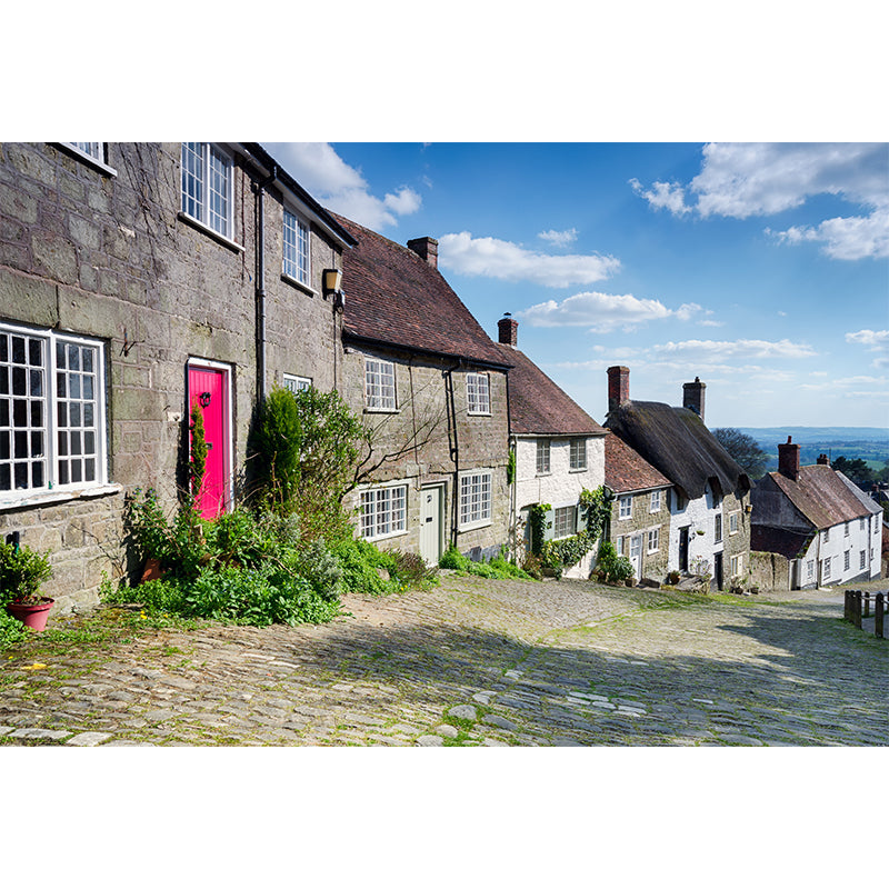 Blue Town Landscape Mural Wallpaper Building Modern Stain Resistant Wall Covering