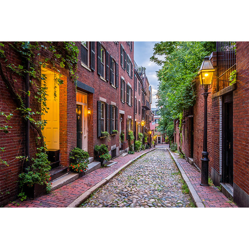 Brick Red Houses Mural Decal Architecture Contemporary Moisture Resistant Wall Decor