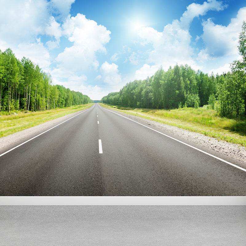 Highway Scene Mural Wallpaper Modern Non-Woven Cloth Wall Covering in Soft Color