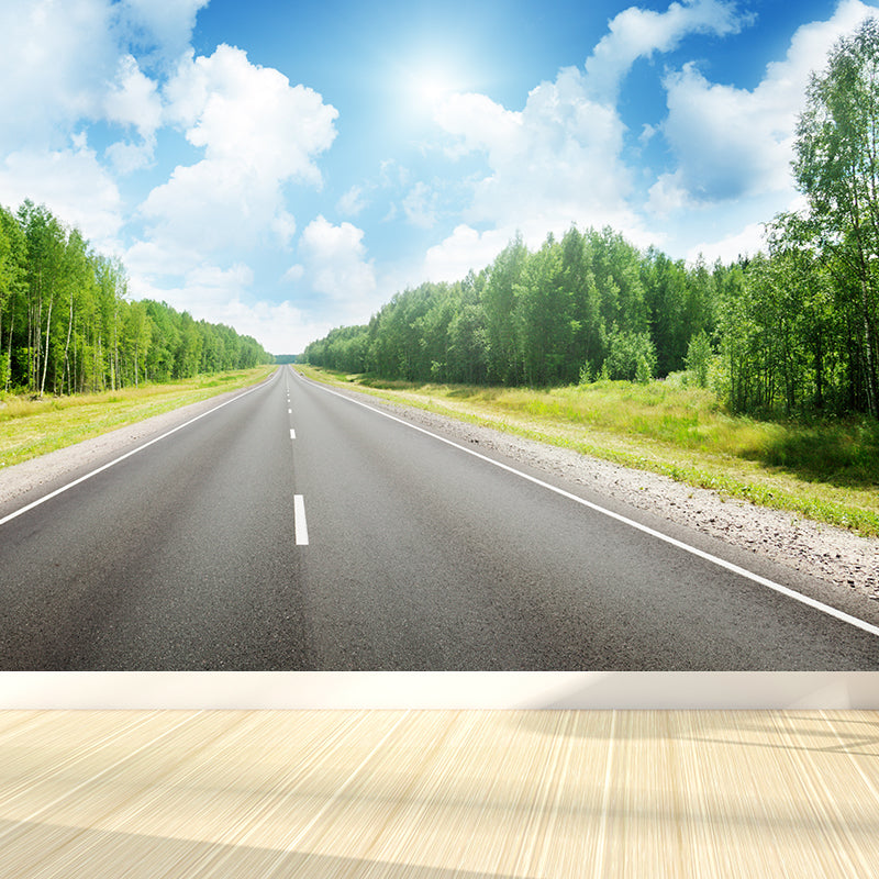Highway Scene Mural Wallpaper Modern Non-Woven Cloth Wall Covering in Soft Color