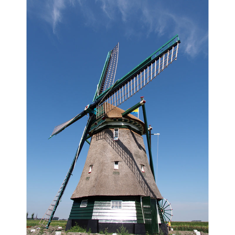 Whole Windmill Mural Wallpaper for Wall Decor Contemporary Girls Room Wall Covering