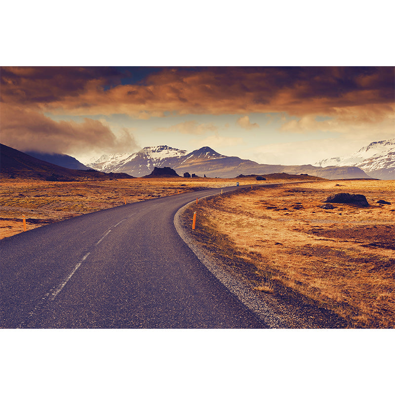 Whole Roadway Mural Wallpaper for Wall Decor Contemporary Girls Bedroom Wall Art