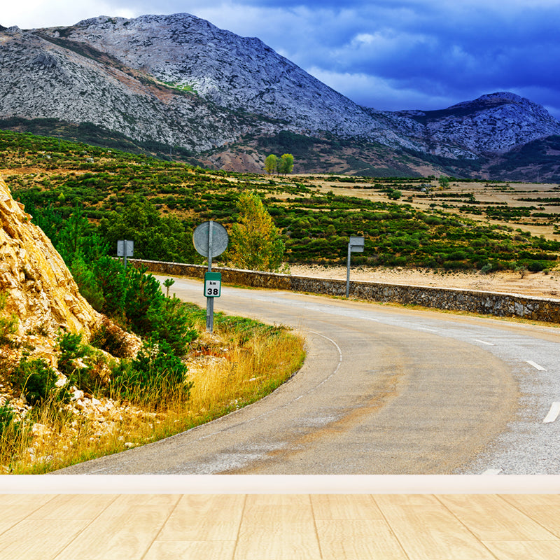 Extra Large Road Mural Pastel Color Non-Woven Wall Art for Home Decor, Personalised