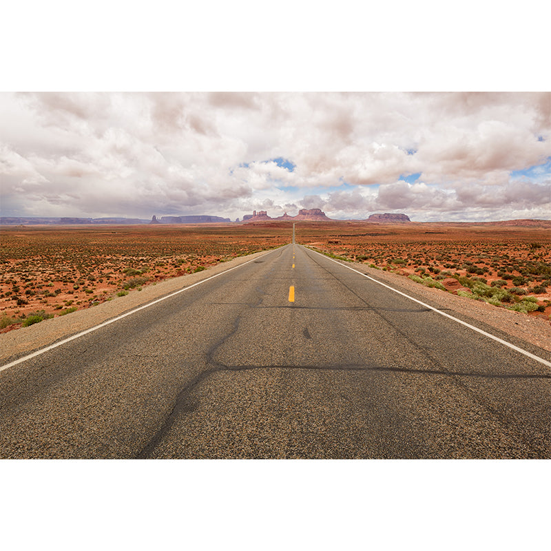 Full Size Photography Modern Mural Wallpaper with Highway and Grassland in Light Color