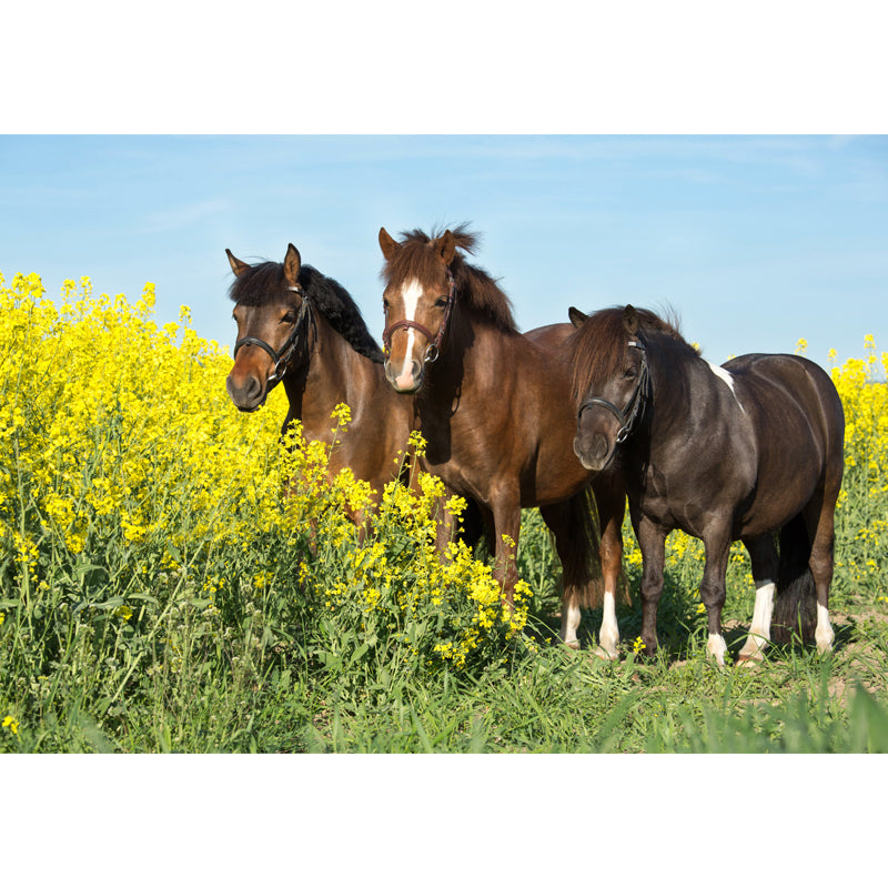 Horses Print Mural Decal Contemporary Non-Woven Texture Wall Art in Pastel Color