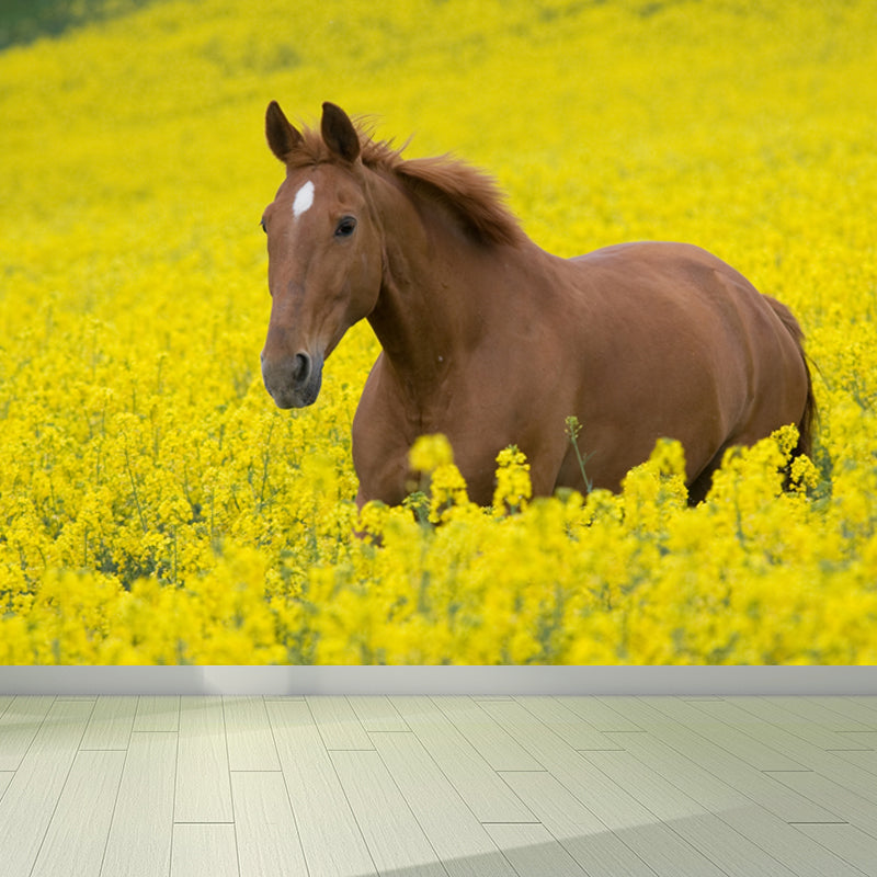 Horse Mural Decal Modern Decorative Boys Room Wall Covering, Custom Size Available