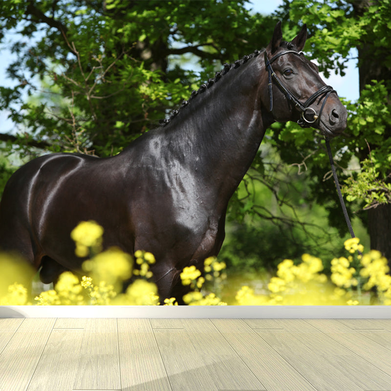 Contemporary Asian Horse Mural Wallpaper Light Color Nature Animals Wall Covering