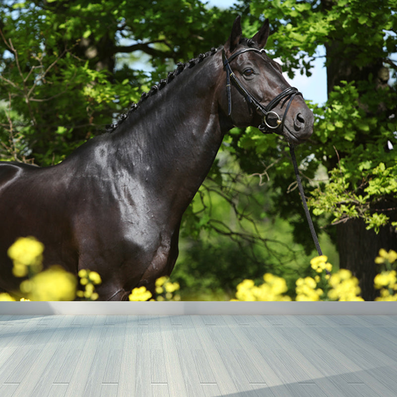 Contemporary Asian Horse Mural Wallpaper Light Color Nature Animals Wall Covering