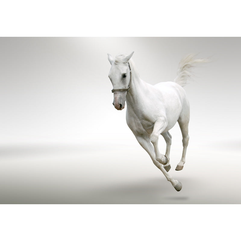 Modern paard muurschildering behang pastel kleur eetkamer muur decor, op maat bedrukt