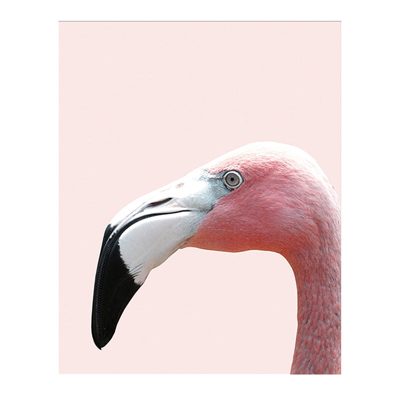 Head of Flamingo Canvas Print Tropical Textured Family Room Wall Art in Pink