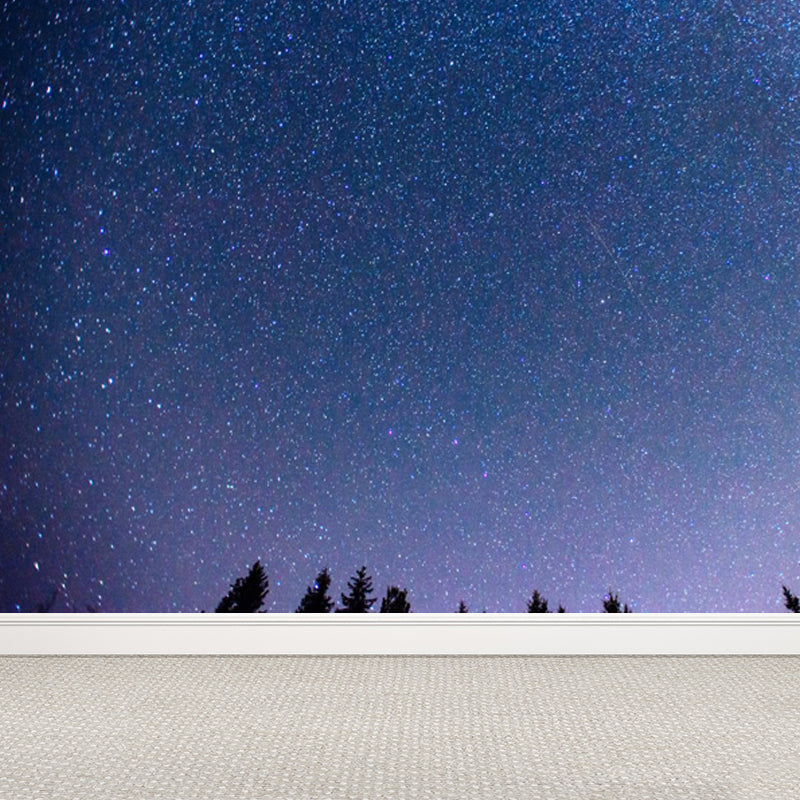 Full Size Photography Modern Mural Decal with Night Sky Pattern Constellations in Purple