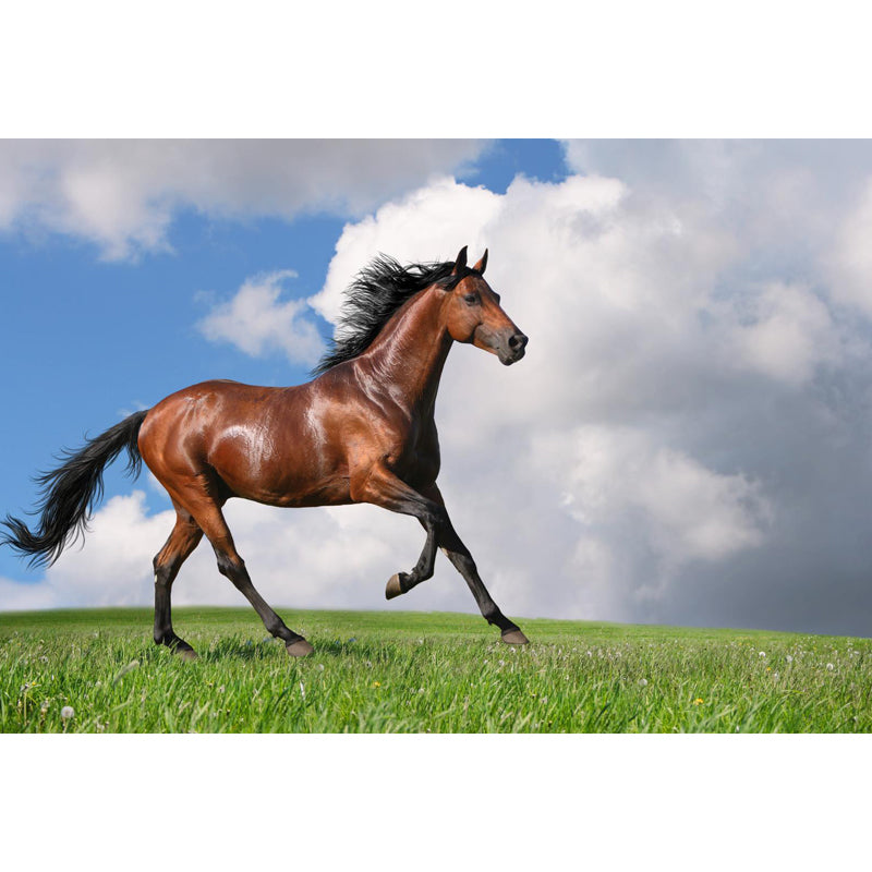 Giant Contemporary Wall Mural in Blue Steppe Horse Wall Covering, Made to Measure