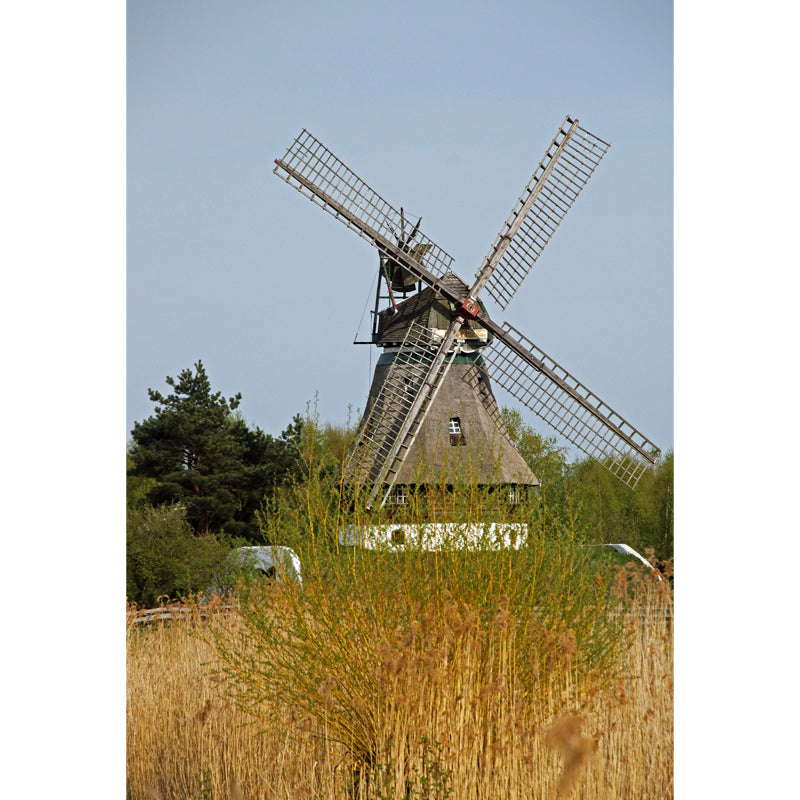 Huge Autumn Windmill Mural for Bedroom Landscape Wall Art in Soft Color, Stain Resistant