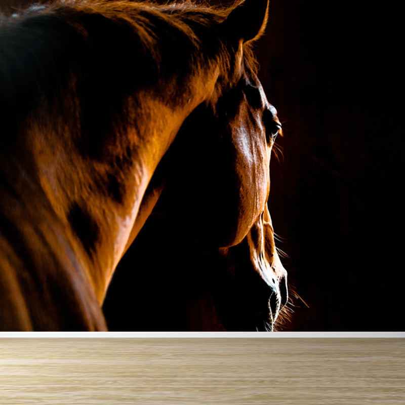 Full Size Photography Modern Mural Wallpaper with Running Steed Printed in Black