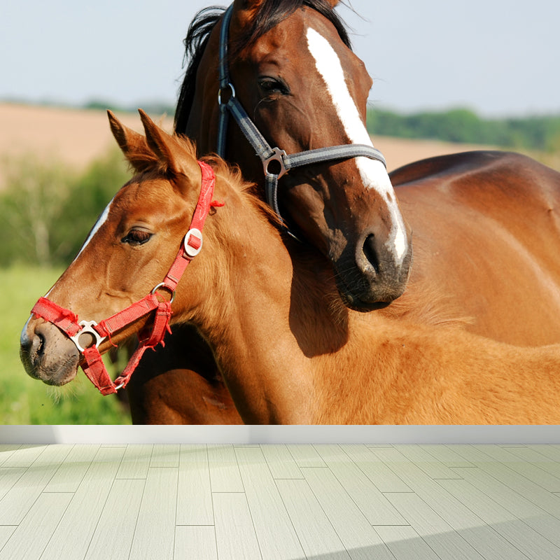 Large Tall Horse Mural Decal Contemporary Tameable Animals Wall Covering in Brown