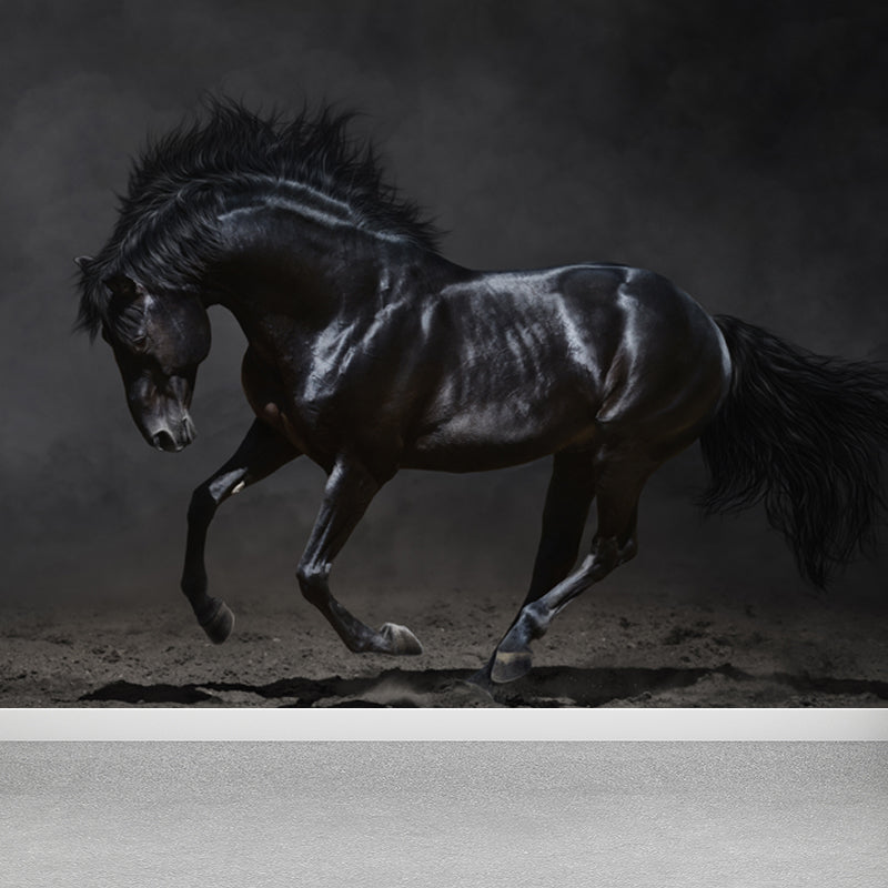 Whole Smart Steed Mural Wallpaper for Wall Decor Contemporary Boys Room Wall Art