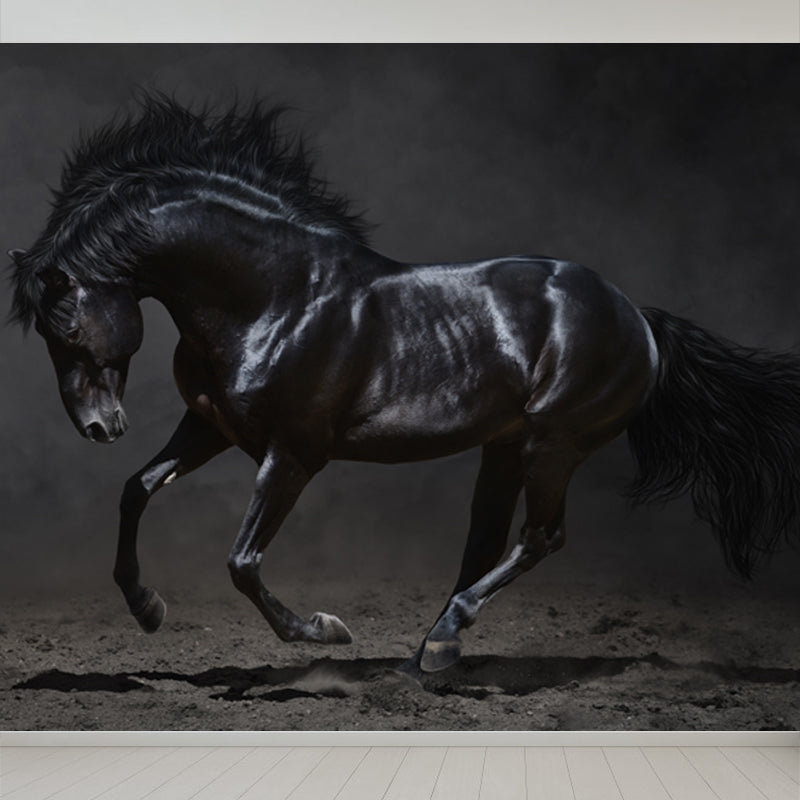 Whole Smart Steed Mural Wallpaper for Wall Decor Contemporary Boys Room Wall Art