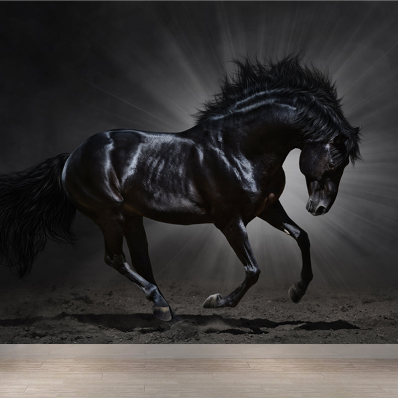 Whole Smart Steed Mural Wallpaper for Wall Decor Contemporary Boys Room Wall Art