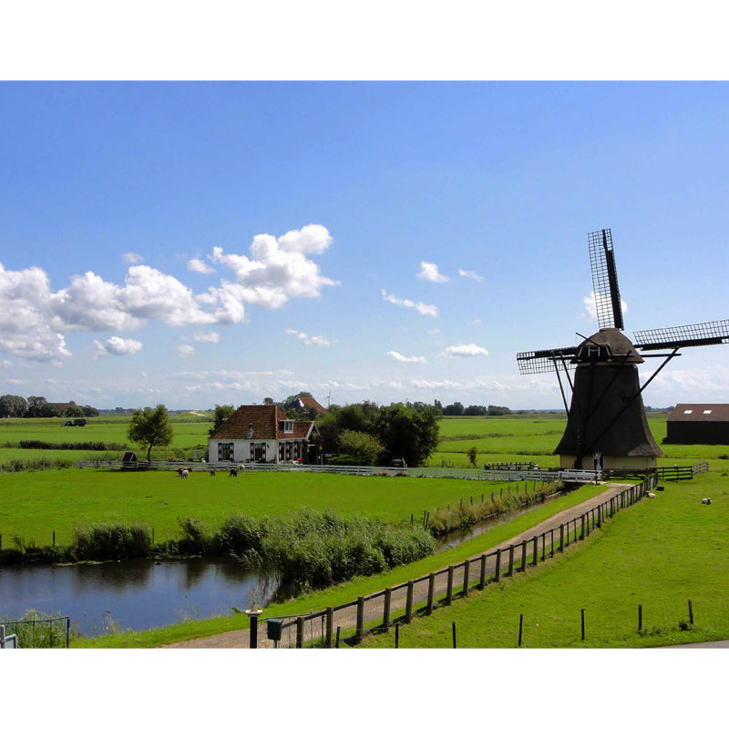 Whole Riverside Windmill Mural Decal for Wall Decor Contemporary Guest Room Wall Art