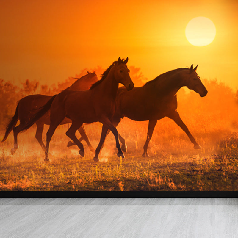 Running Horse and Sunset Mural Decal for Boys Bedroom Animals Wall Decor, Custom