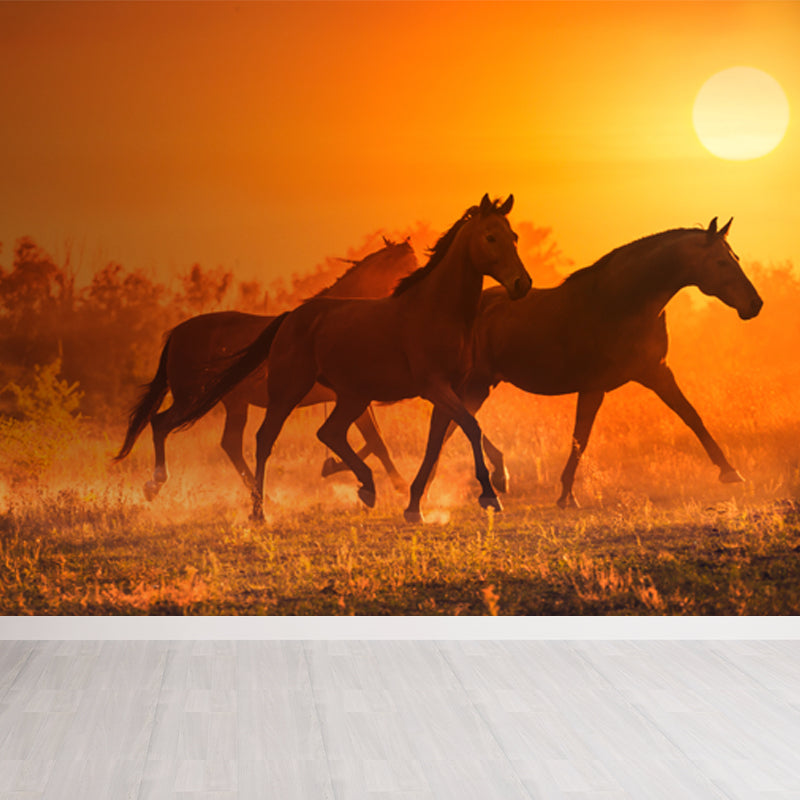 Running Horse and Sunset Mural Decal for Boys Bedroom Animals Wall Decor, Custom