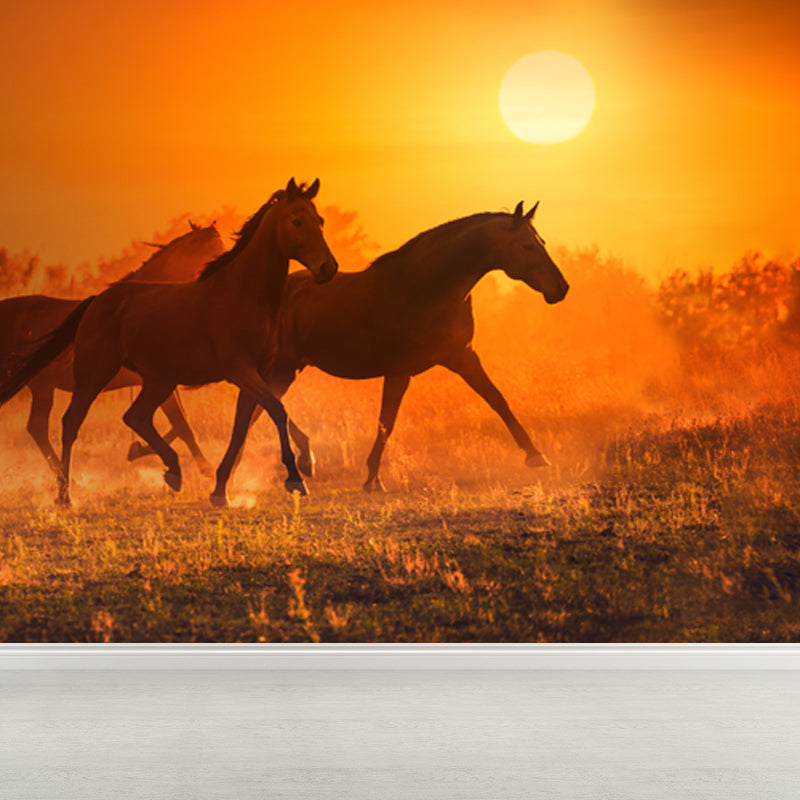 Running Horse and Sunset Mural Decal for Boys Bedroom Animals Wall Decor, Custom