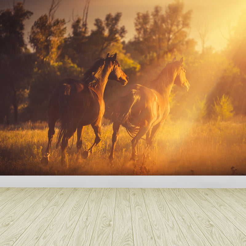 Running Horse and Sunset Mural Decal for Boys Bedroom Animals Wall Decor, Custom