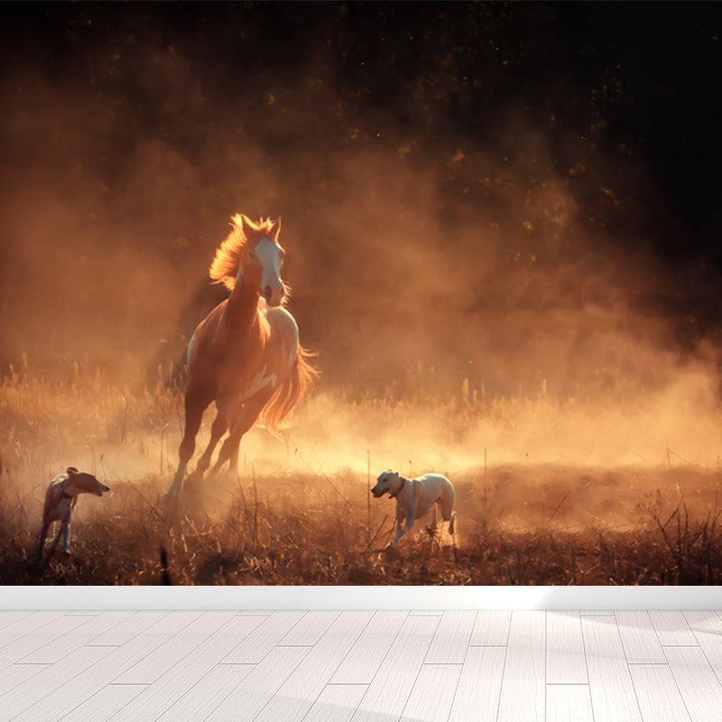 Running Horse and Sunset Mural Decal for Boys Bedroom Animals Wall Decor, Custom