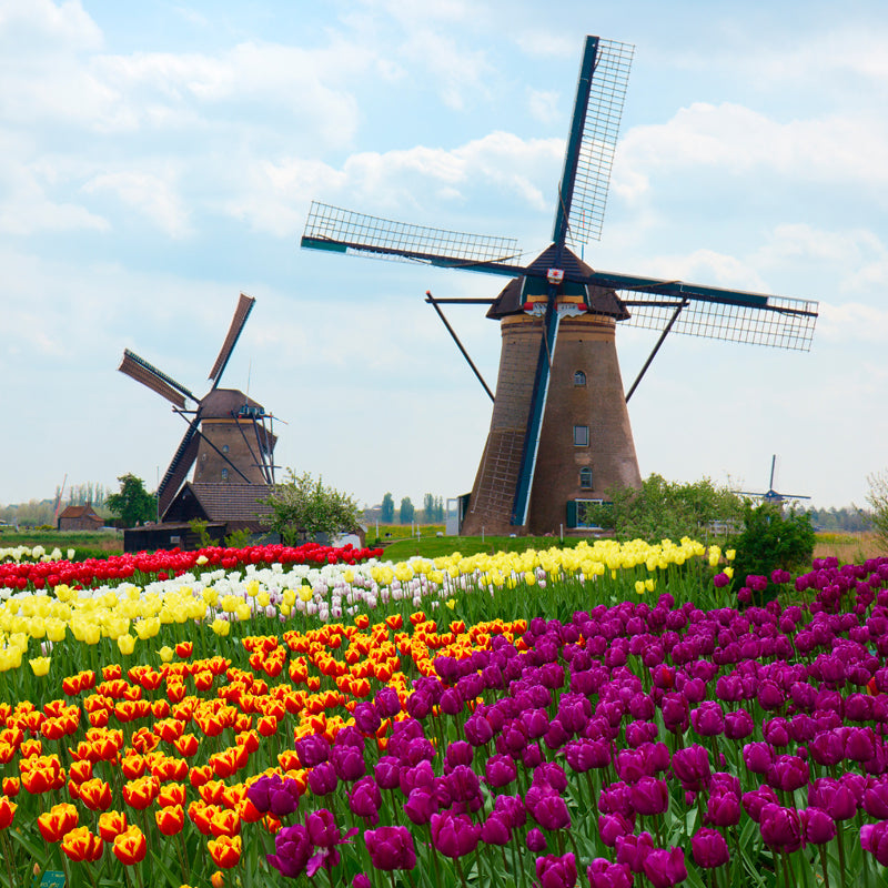 Large Static Windmill Mural Wallpaper Modern Landscape Wall Decor in Light Color