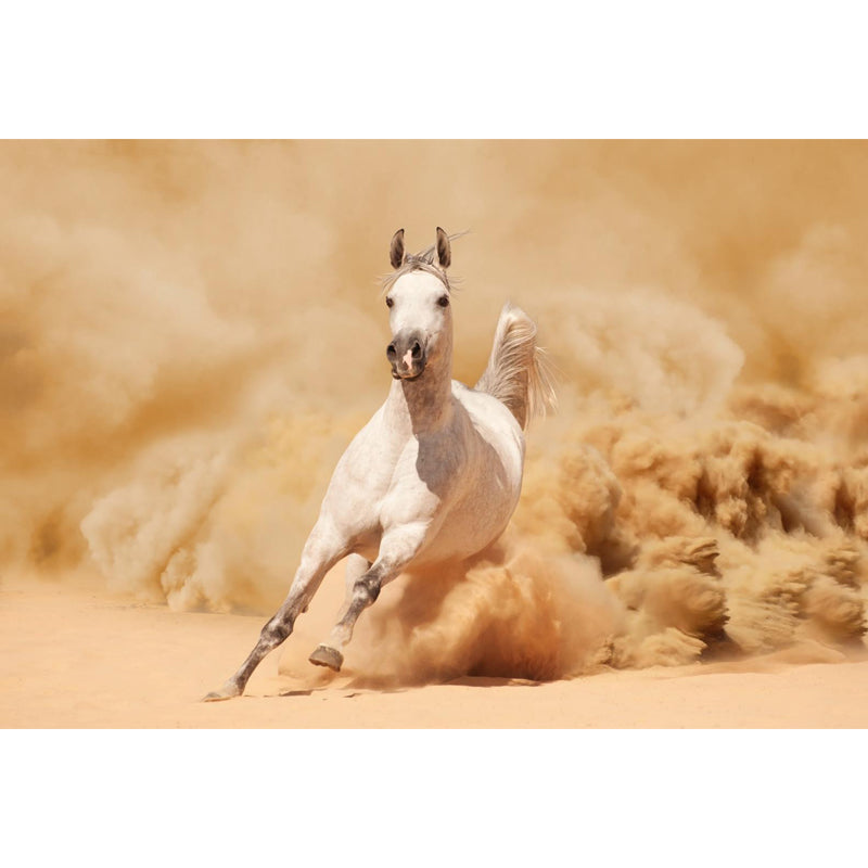 Photography Running Horse Wall Mural for Dining Room, Brown, Custom Size Available