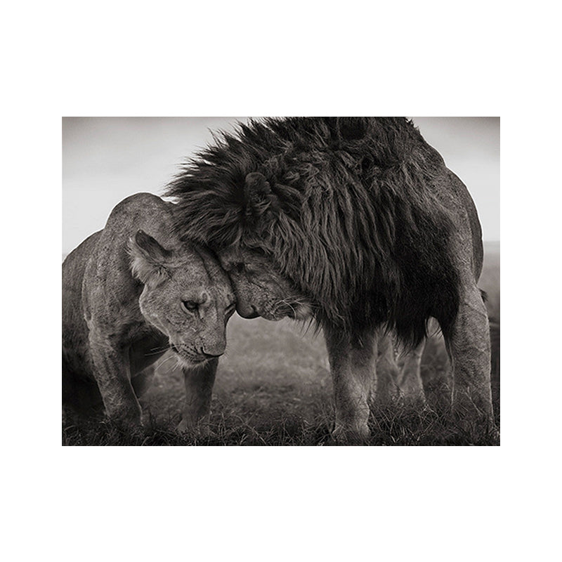 King of Savanna Lions Canvas Print Grey Modernist Wall Art Print for Sitting Room