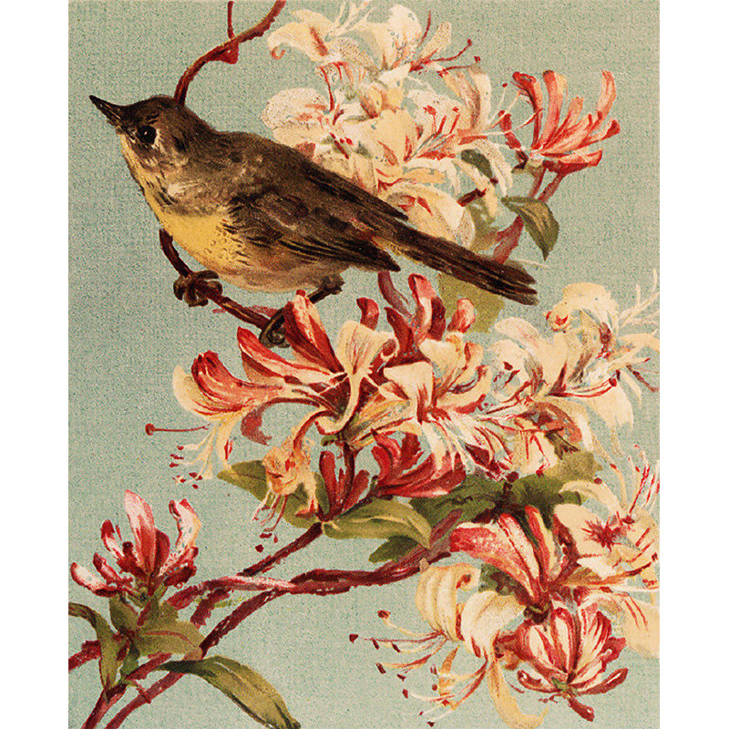 Brown Contemporary Mural Wallpaper Big Bird and Flower Branch Wall Art for Playroom