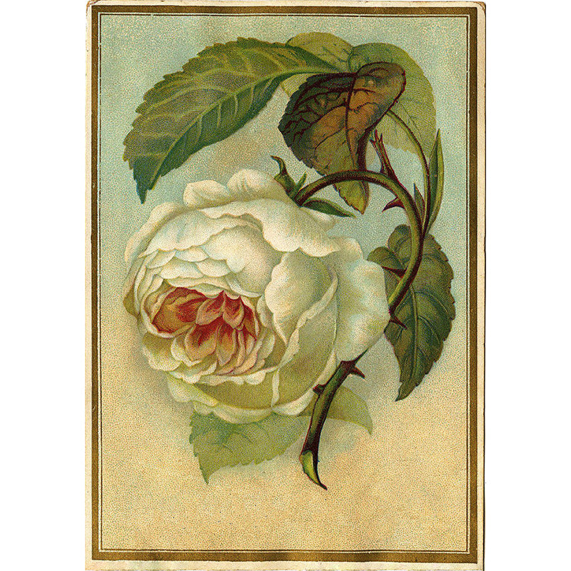 Illustration Summer Flower Wall Mural Great Wall Decor for Dining Room, Personalize