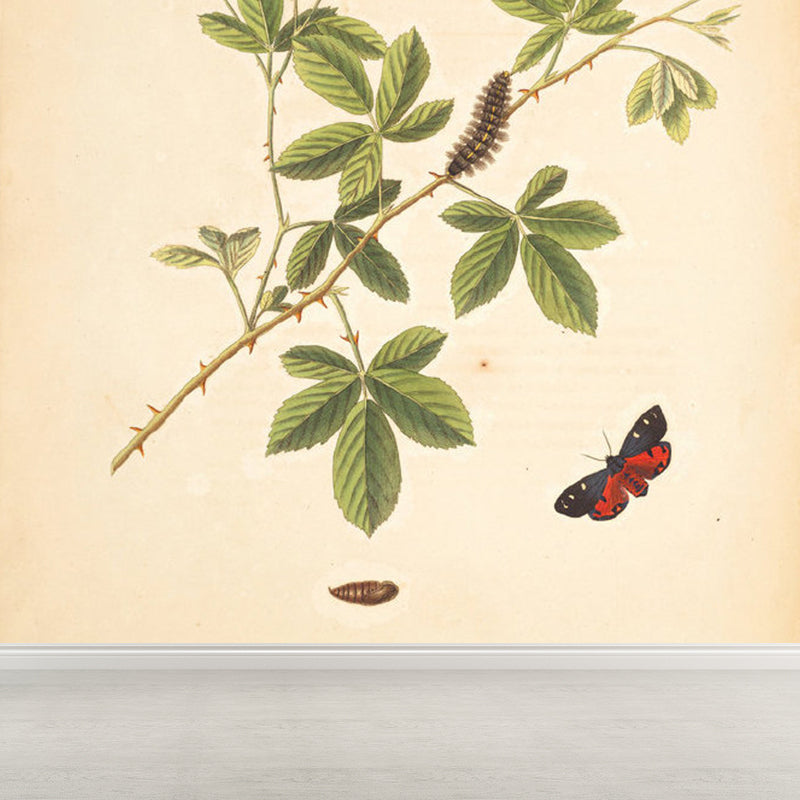 Giant Contemporary Wall Mural in Beige Tree Branch Wall Covering, Custom Printed