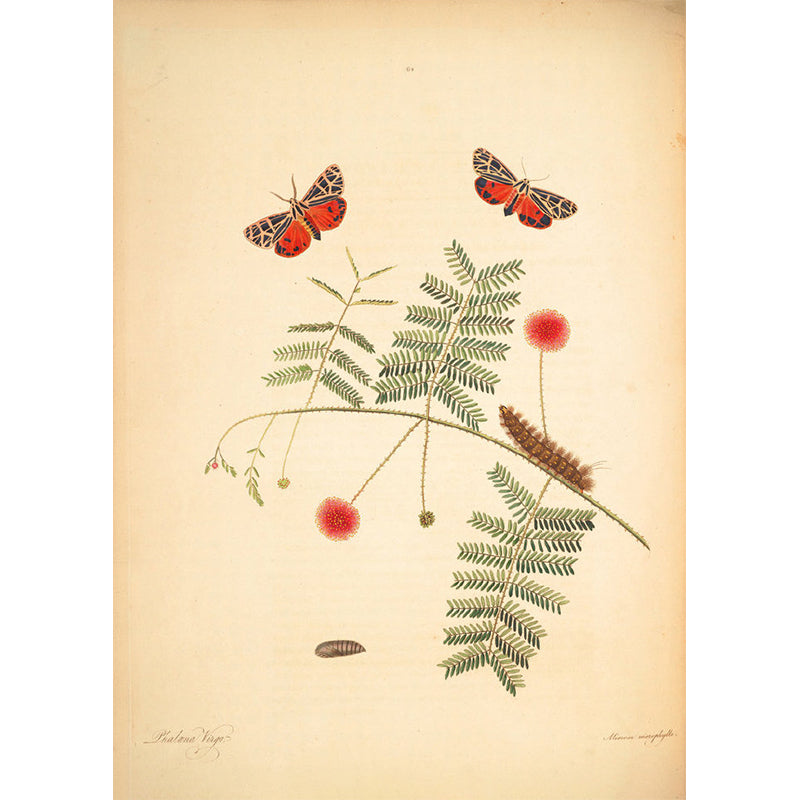 Huge Tree Branch Mural for Bedroom Botanical Wall Decor in Beige, Stain Resistant